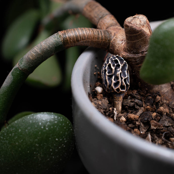 Bronze Morel Mushroom House Plant Accessory - Rumination Jewelry