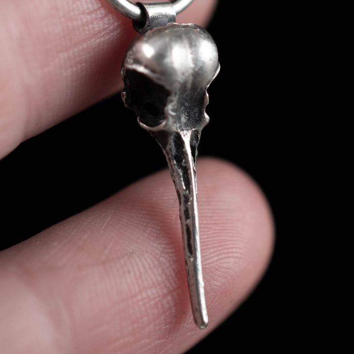 Hummingbird Skull Choker - Rumination Jewelry