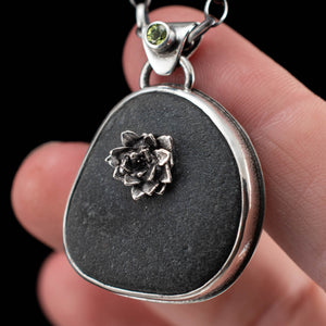 Succulent and River Stone